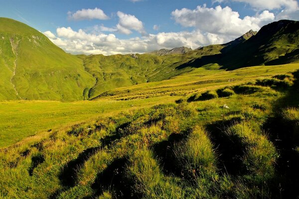 Valle di montagna profumata nel verde