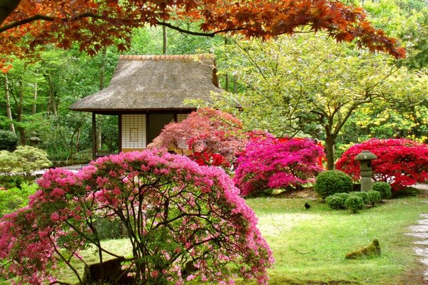 Japanese garden with a house