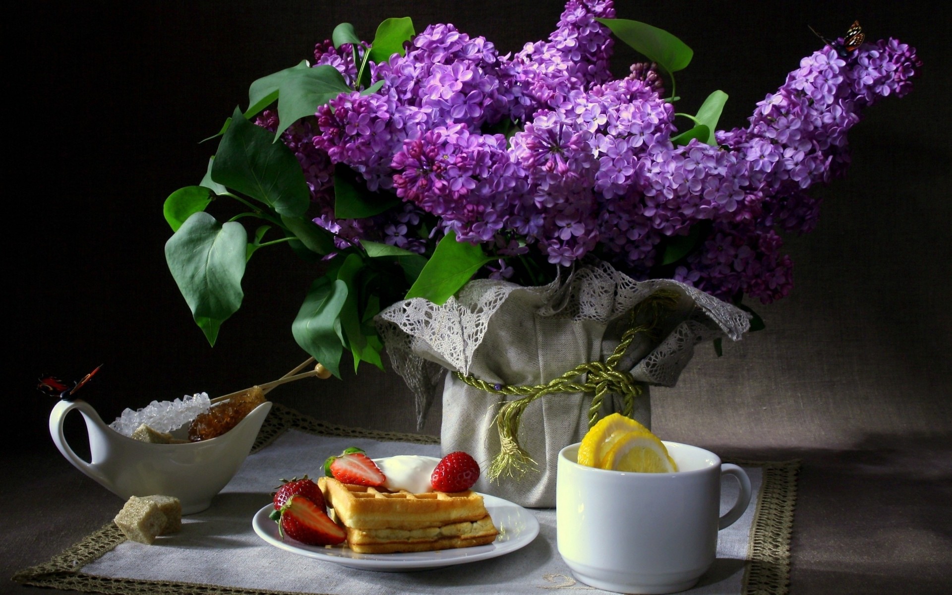 fleurs fleur feuille flore nature nature morte vase table fleur lilas photo lilas photo lilas fleur lilas