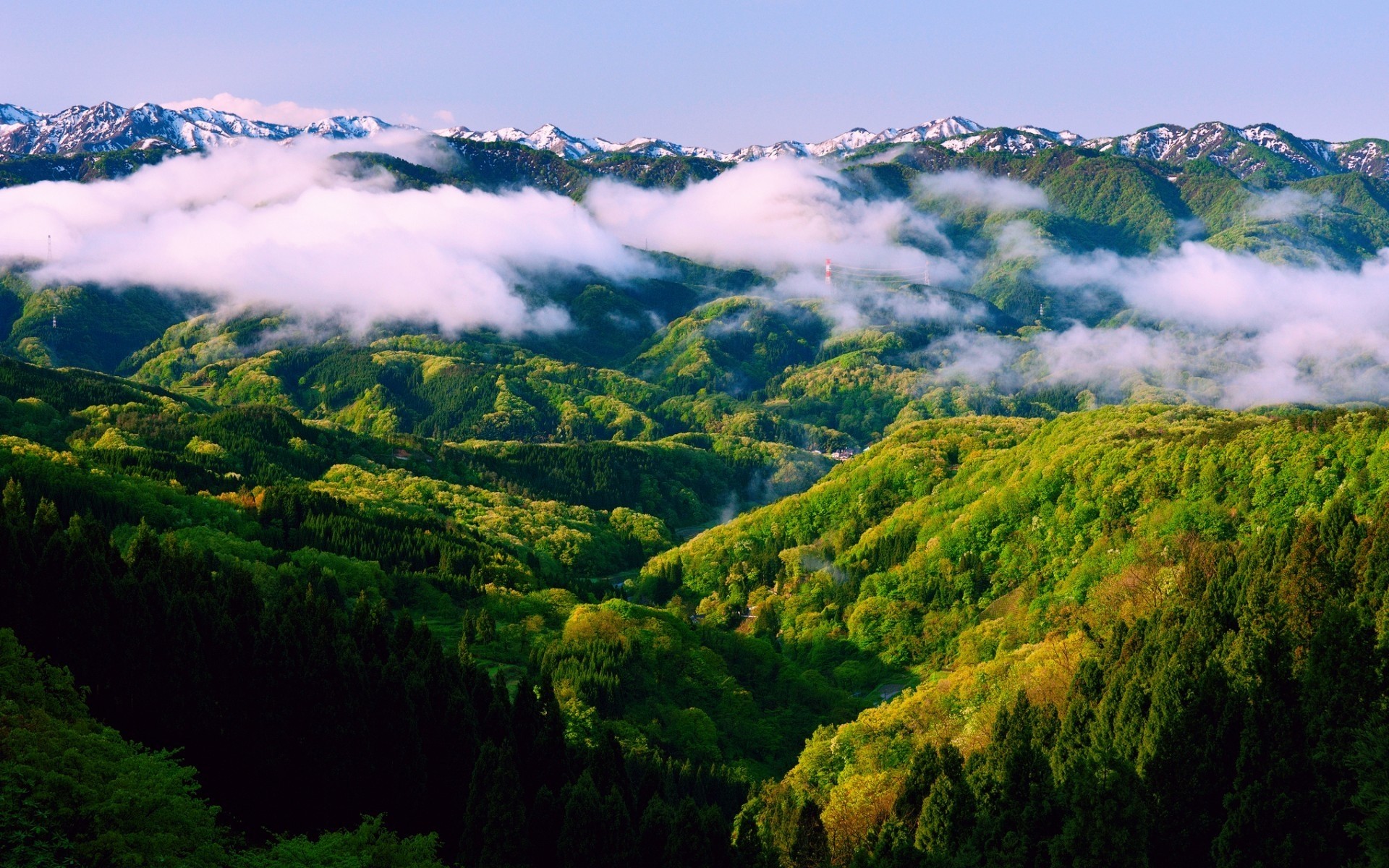 landscapes nature landscape travel outdoors sky wood mountain fog tree fall leaf dawn grass summer rural mist fair weather countryside forest green clouds cloudy landscape forest landscape