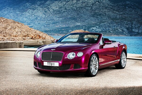 Bentley (convertible) en colores de lujo