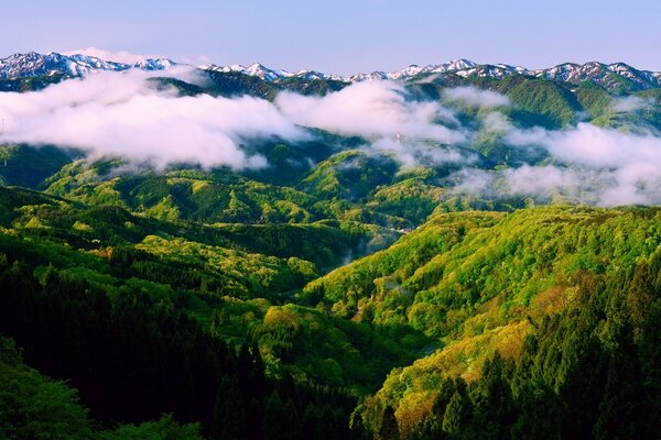 Weiße Wolken über den grünen Bergen