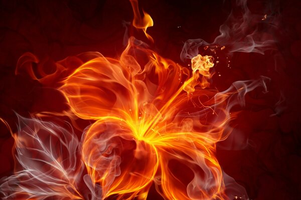 Fire Flower for Desktop