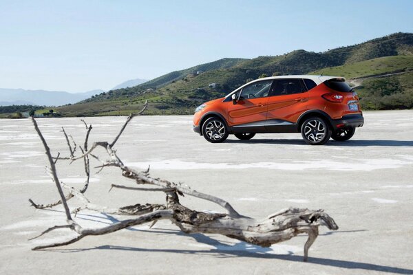 Coche junto al agua para tomar fotos