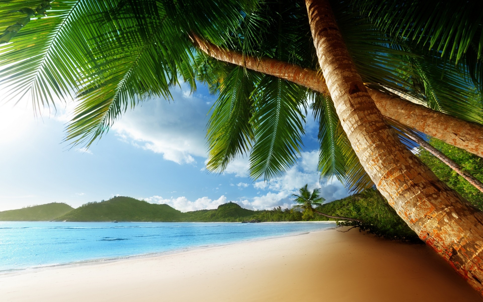 landscapes tropical beach sand palm exotic paradise seashore coconut island summer ocean travel vacation water resort idyllic nature seascape relaxation blue sea summer landscape