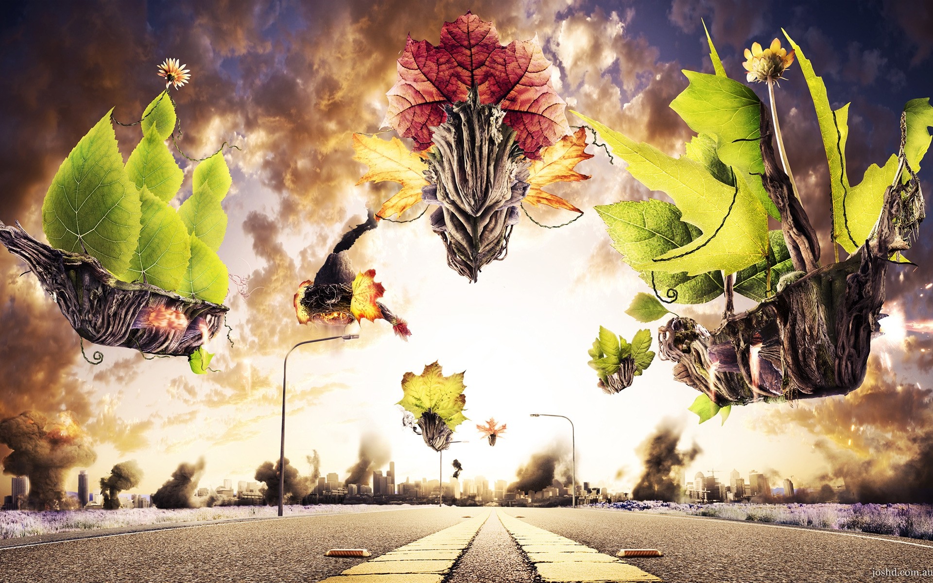 photo manipulation leaf nature tree art fall desktop color illustration