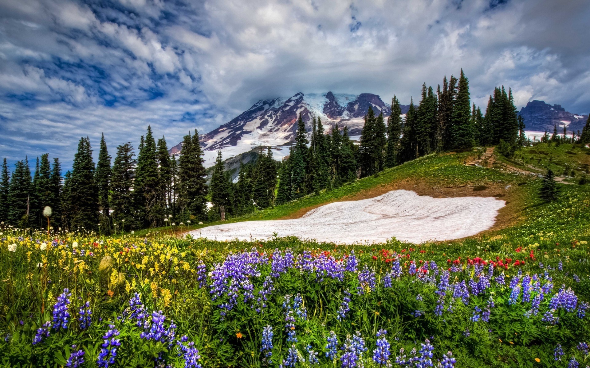 primavera natura montagna all aperto paesaggio legno scenico lupino fieno fiore viaggi estate albero luce del giorno neve erba collina cielo vista di primavera primavera foto primavera foto
