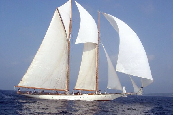 Blanco hermoso velero en el océano