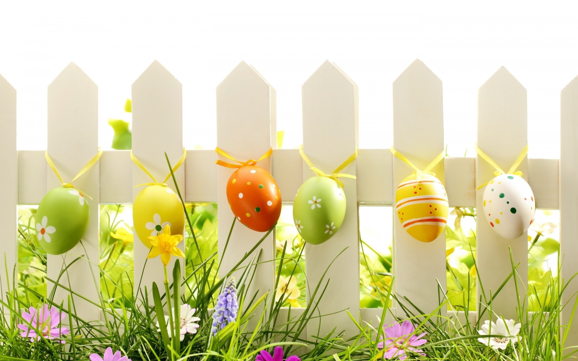 easter grass celebration egg religion rabbit flower season decoration nature candle bright easter egg color bunny easter eggs