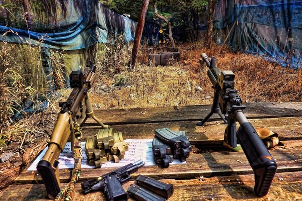 Concours de tir à la carabine et au pistolet