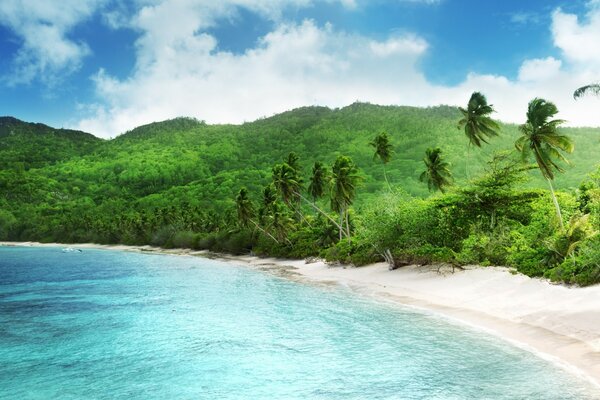 Ilha deserta com oceano azul