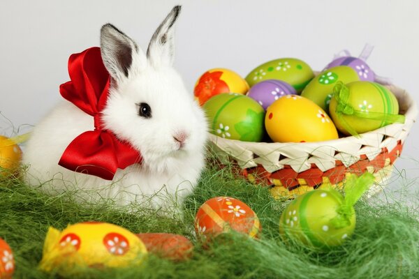 Rabbit near the bed eggs