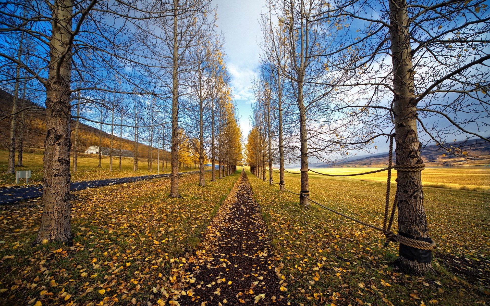 landschaft baum herbst landschaft holz blatt saison park natur landschaftlich zweig im freien umwelt gutes wetter guide szene landschaft ländliche landschaft straße bäume himmel