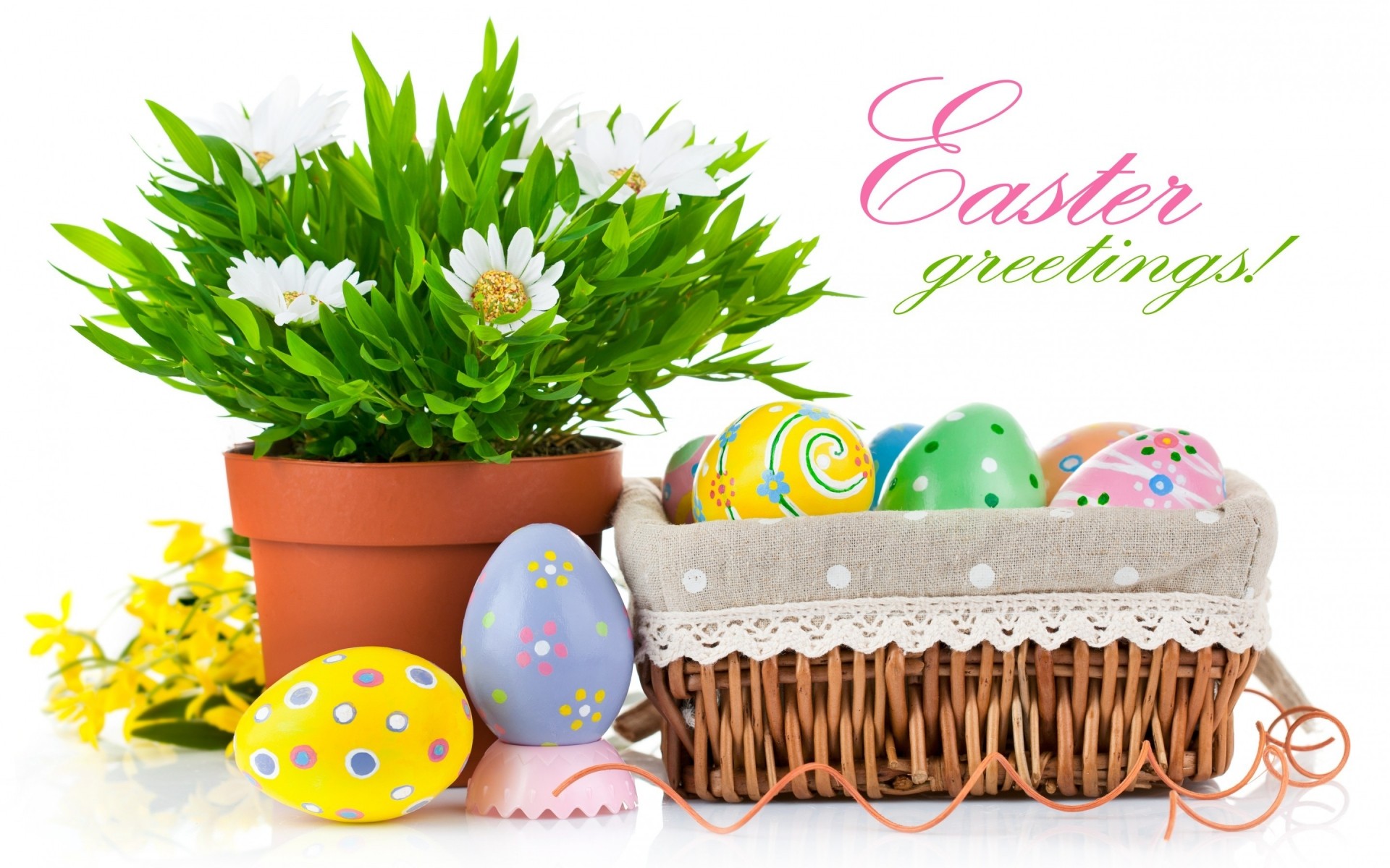 easter egg basket desktop celebration nature traditional flower decoration easter eggs