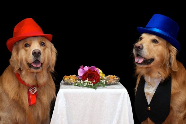 Two dogs in hats at a festive table