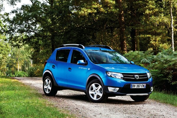 Un coche extranjero de color azul se encuentra en el bosque