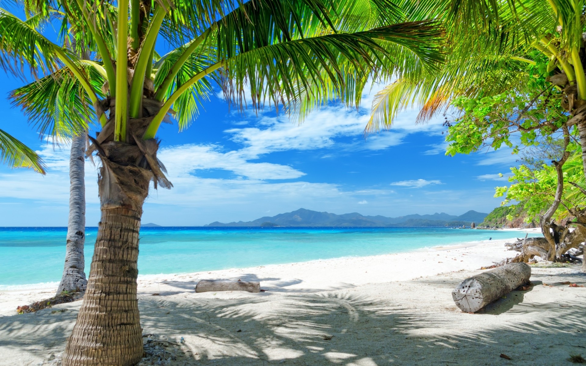 landschaft tropisch strand palmen reisen meer sand insel ozean wasser türkis sommer exotisch urlaub paradies entspannung idylle resort kokosnuss landschaft lagune landschaft blauer himmel