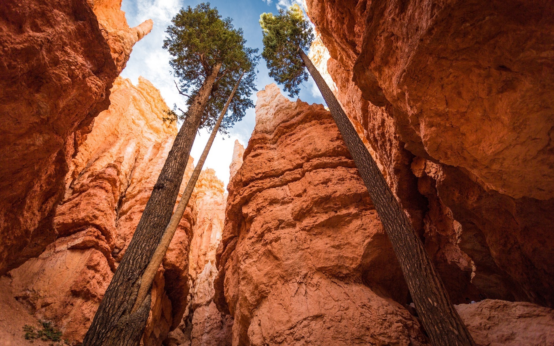 united states canyon sandstone rock travel outdoors geology scenic park desert daylight landscape valley adventure