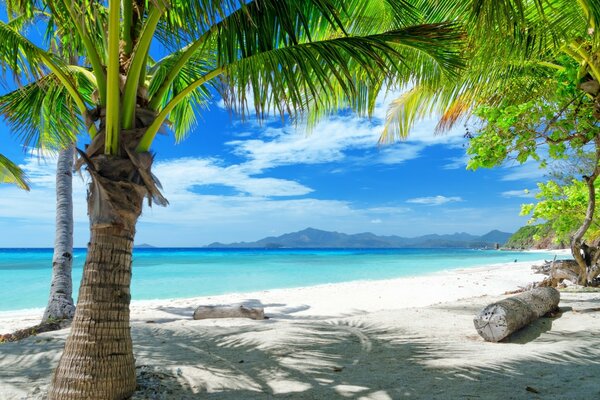 Spiaggia tropicale con acqua blu