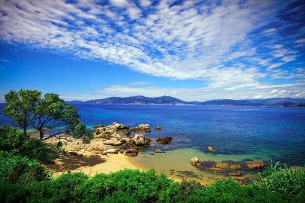 从海滩美丽的海景