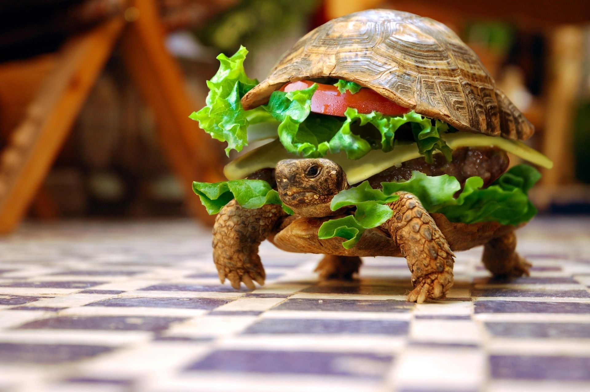 animales comida madera tabla