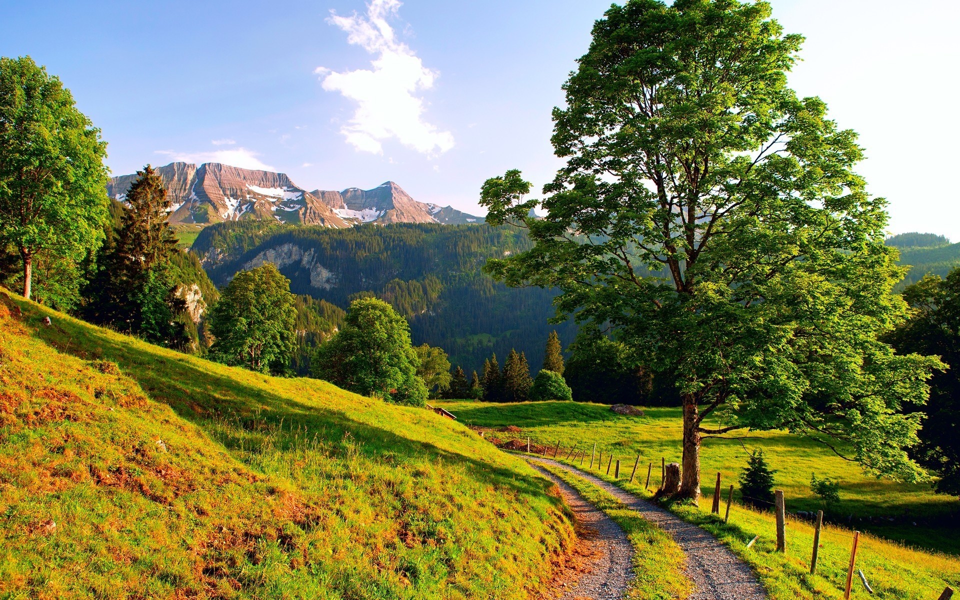 landschaft natur landschaft holz holz des ländlichen landschaft im freien blatt sommer landschaftlich herbst gras reisen himmel jahreszeit gutes wetter landschaft spektakel umwelt berge bäume wald