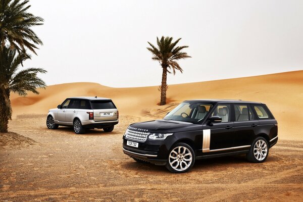 A wonderful trip to the beach by car