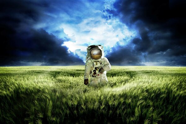 Kosmonauta stąpający po polu pszenicy