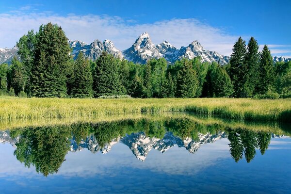 Nature paysage réflexion