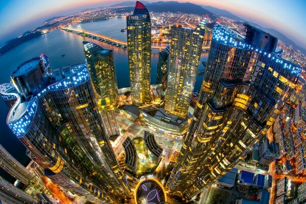 Evening skyscrapers from above