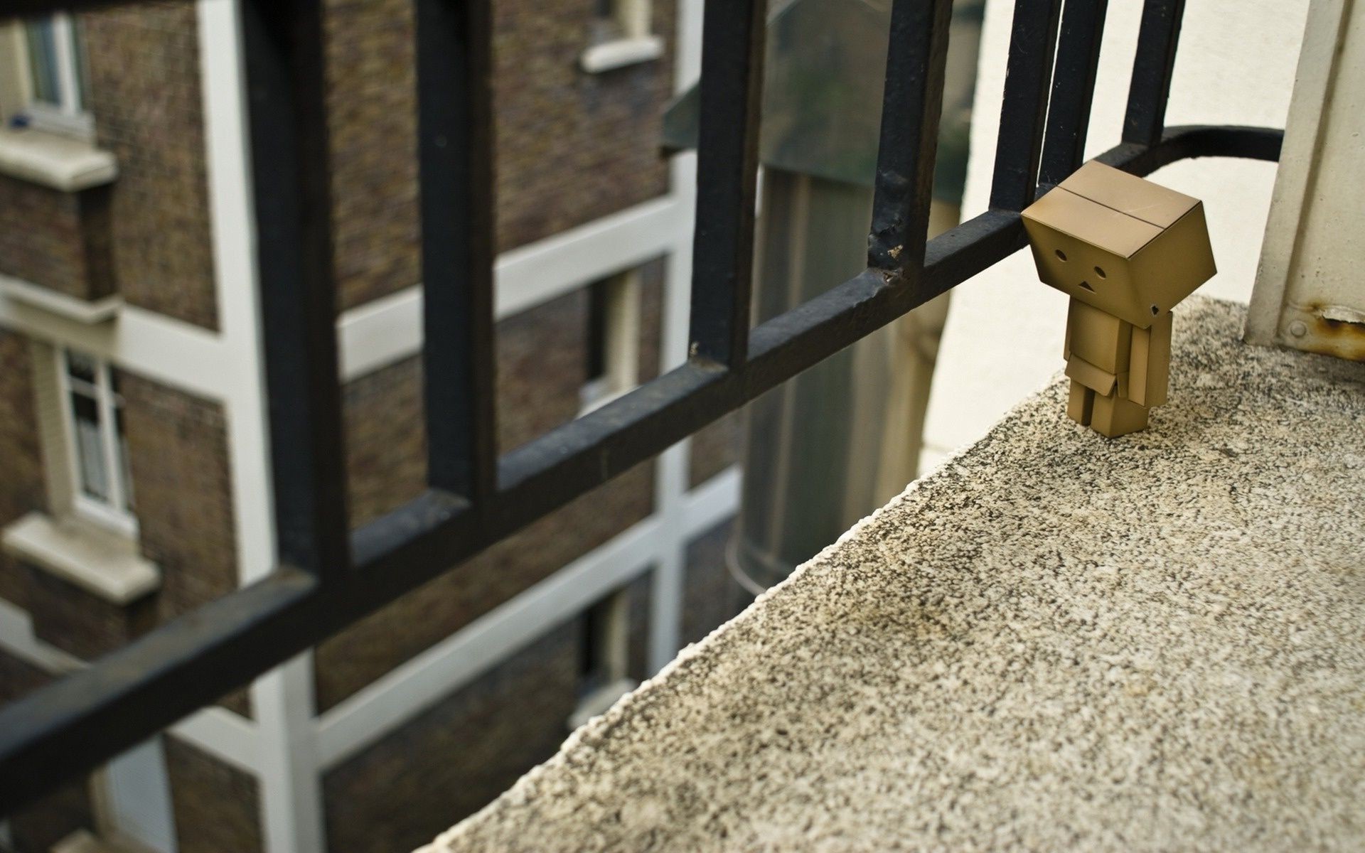 creativo hogar arquitectura madera casa ventana pared luz del día al aire libre