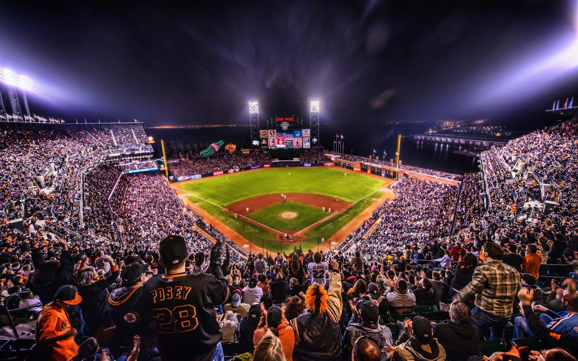 sport stadio folla pubblico concorso molti spettatore appassionato di sport gruppo baseball fan notte