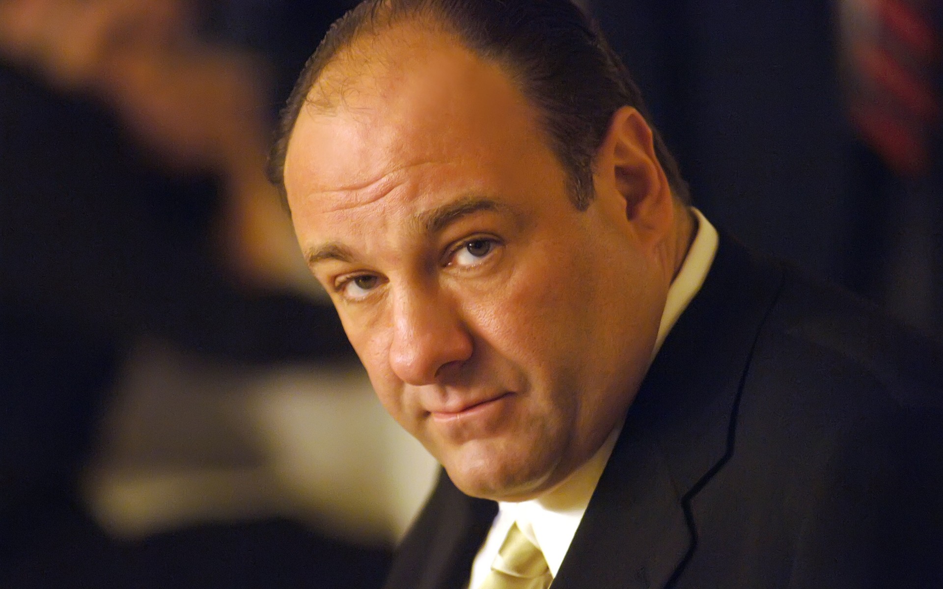 männer wirtschaft porträt führer mann ein politiker outfit erwachsener tragen verwaltung james gandolfini