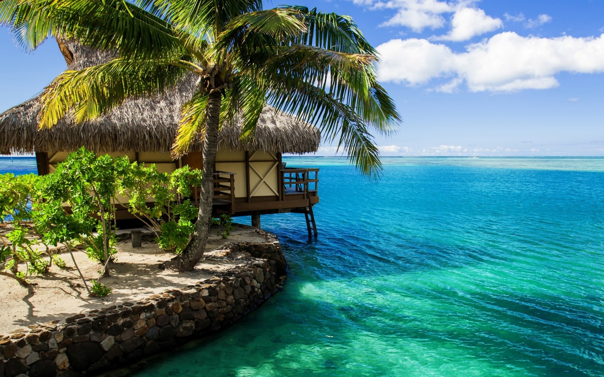 paysage tropical plage paradis île station balnéaire mer palmiers sable océan vacances exotique idylle été voyage turquoise détente eau paysage lagune noix de coco paysage mer palmiers