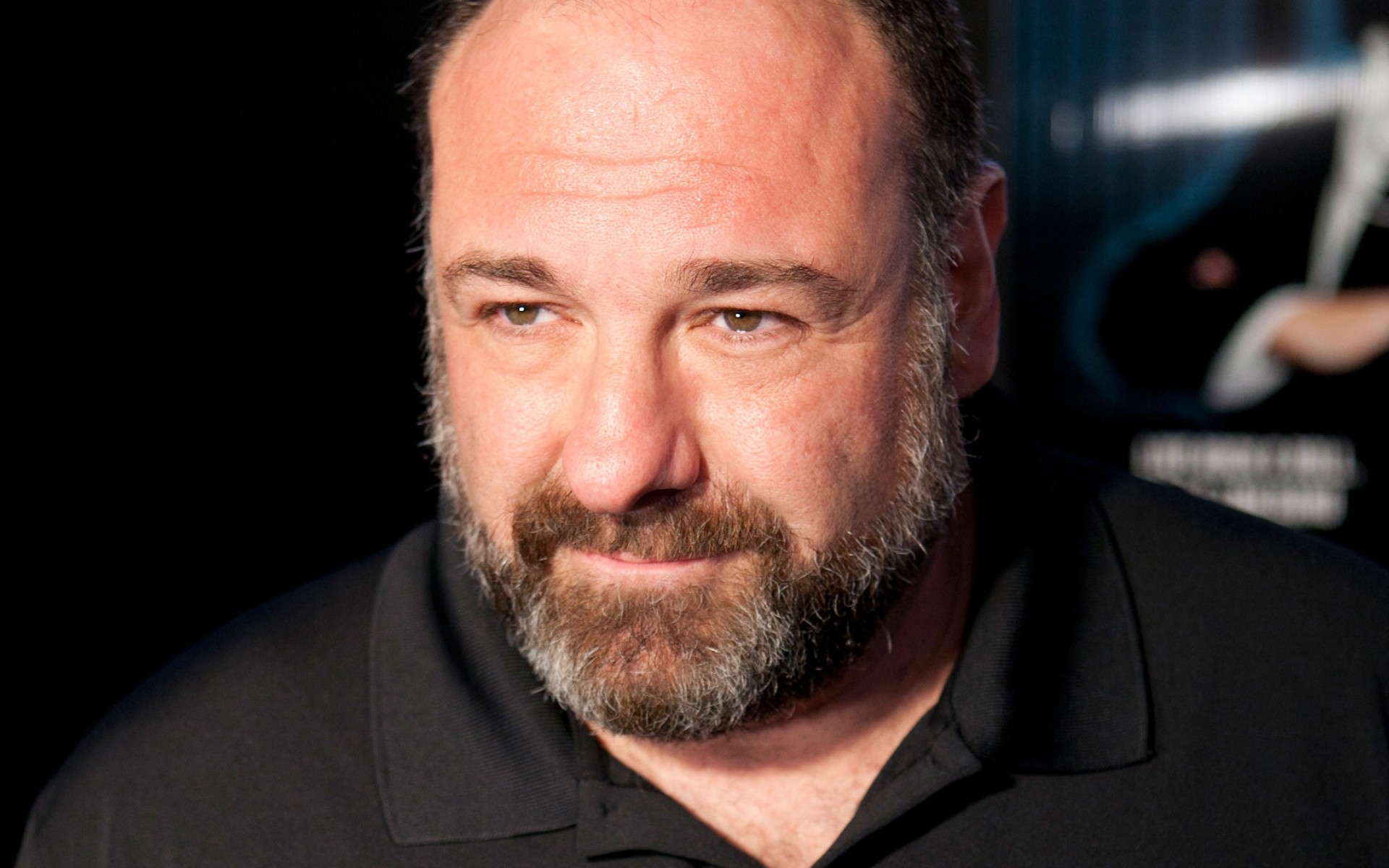 männer porträt mann allein erwachsener gesichtsbehaarung james gandolfini