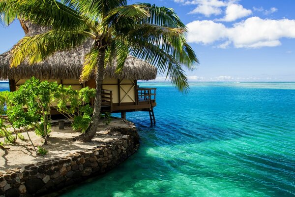 A paradise island with a house and a palm tree