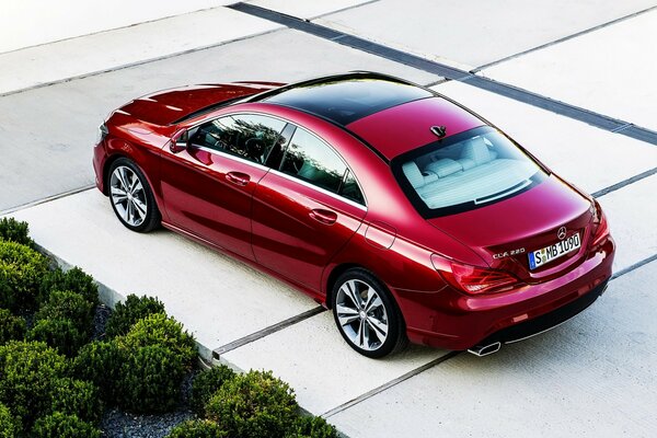 Red Mercedes Benz on the plot near the green bush