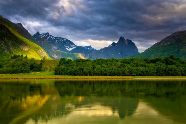 Forest landscape with lake and mountains