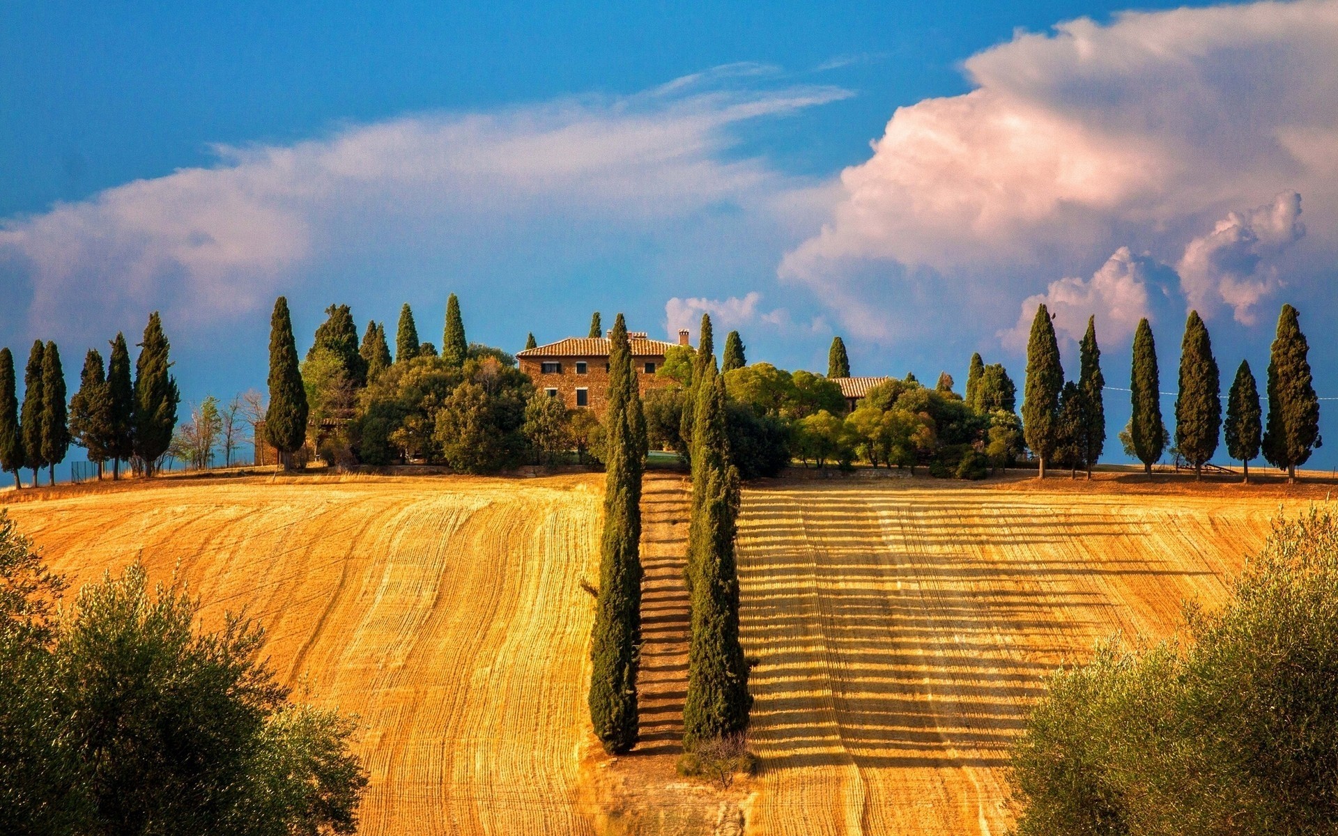 italia all aperto natura cielo albero viaggi paesaggio campagna legno rurale tramonto autunno estate alba agricoltura cipresso scenico luce del giorno bel tempo sera toscana