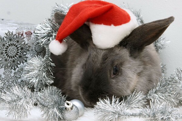 Cute gray rabbit in a Christmas hat on a background of silver toys and garlands