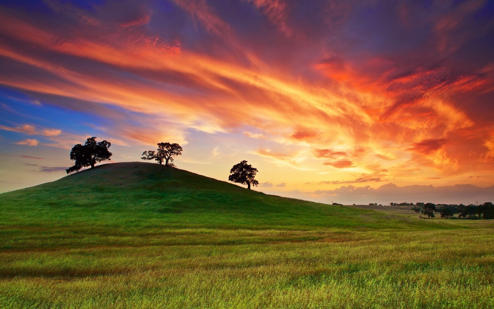 paysage paysage coucher de soleil ciel agriculture nature rural aube campagne ferme champ soleil herbe à l extérieur été nuage pâturage montagne