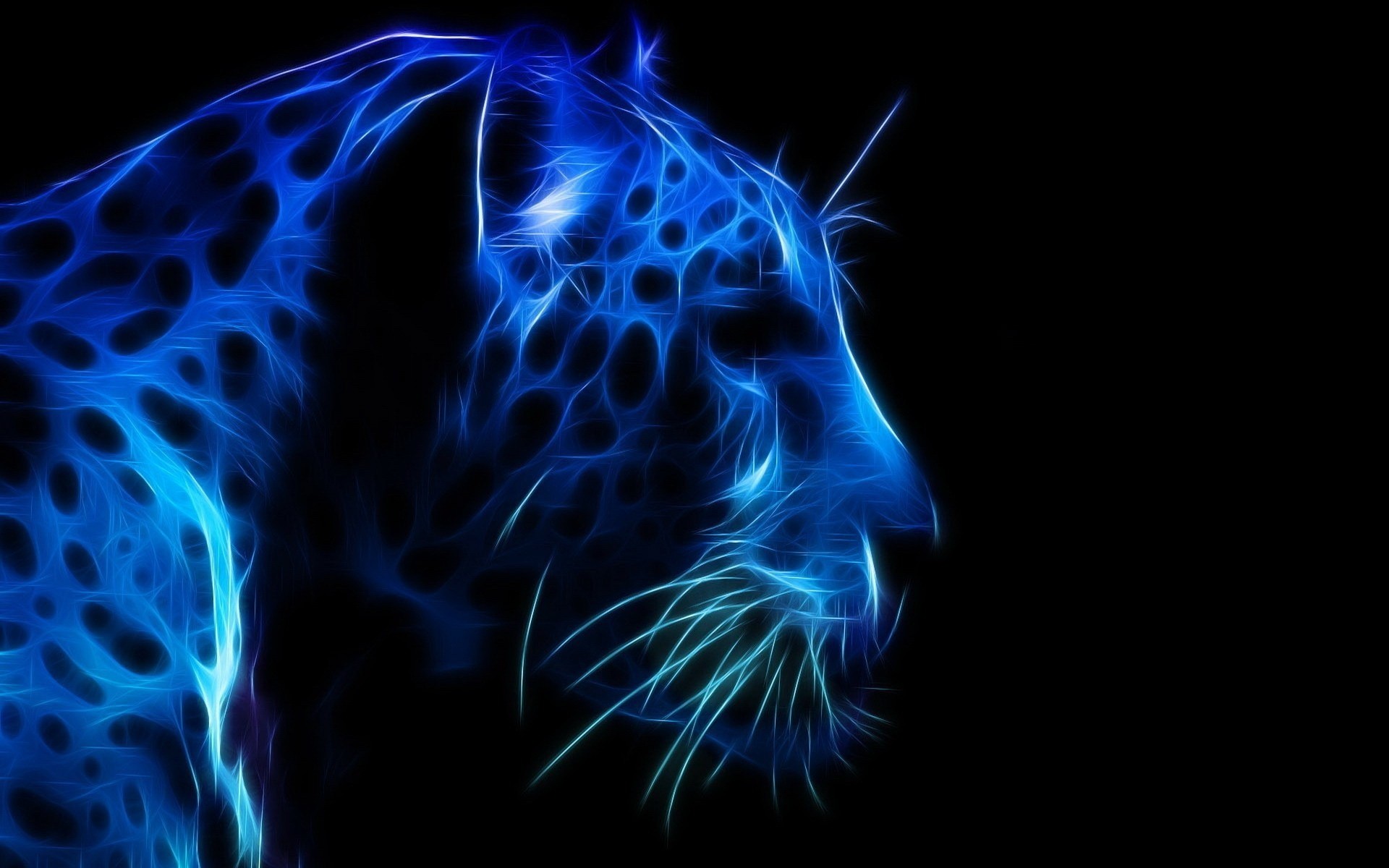 néon chama perigo energia escuro abstrato desktop fumaça leopardo