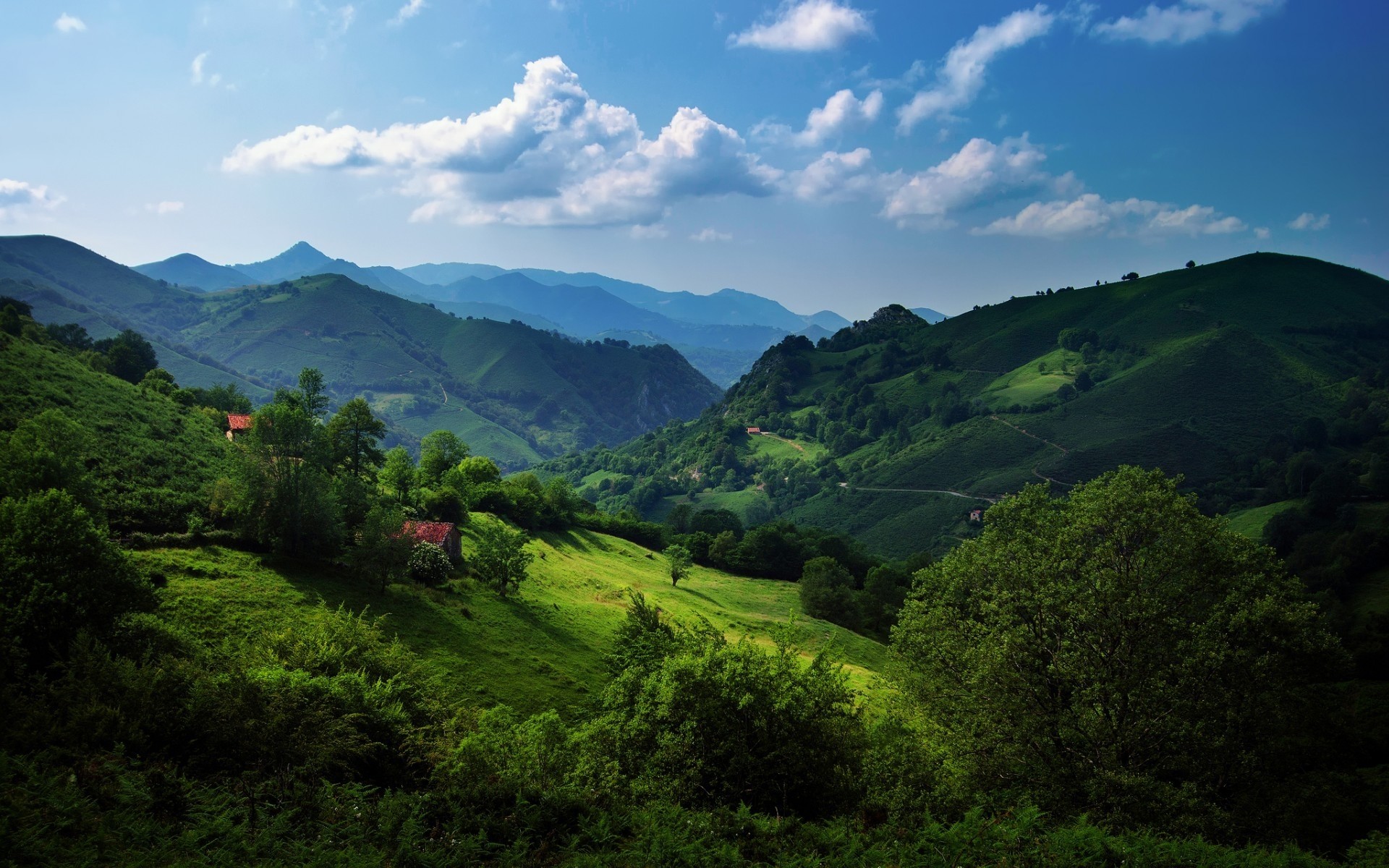 spagna montagna natura paesaggio viaggi collina all aperto albero cielo legno valle estate erba terra coltivata nebbia montagna