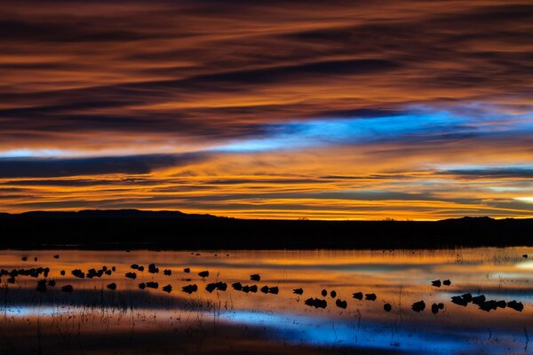 Evening sunset over calm water