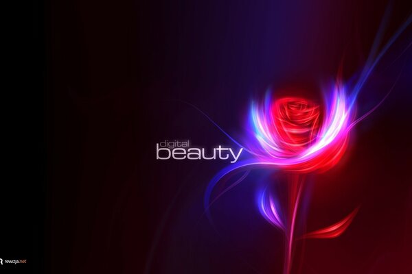 Beautiful painted neon Rose background