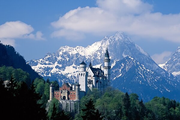 Image of the castle against the background of snow-capped mountains