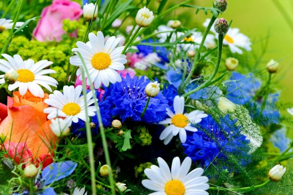 Heller Blumenstrauß aus Wildblumen