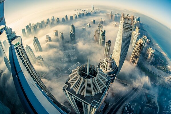 Vista affascinante dagli Emirati Arabi Uniti