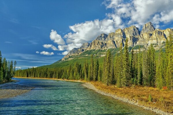 Rivière propre sur les rives de la forêt et les montagnes