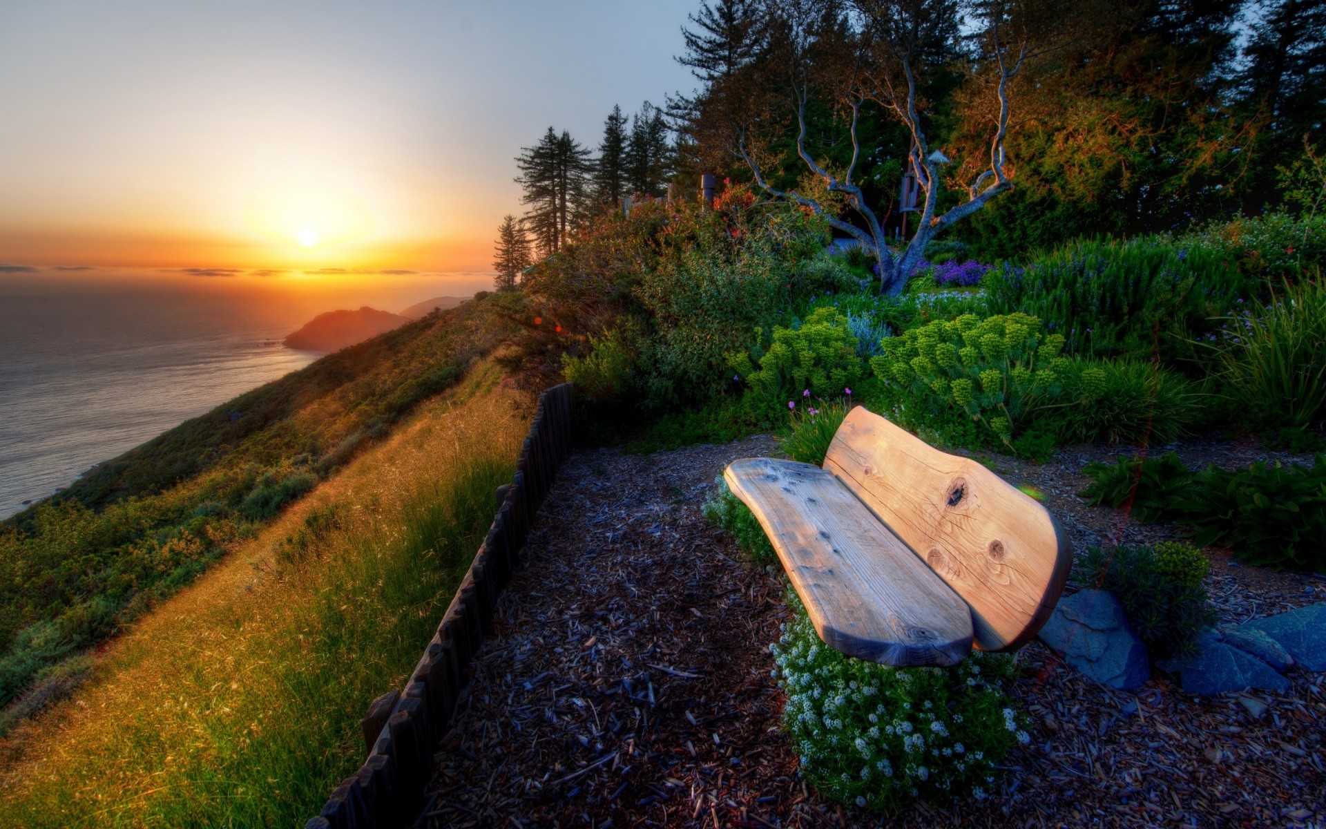 landscapes landscape sunset tree nature sky travel evening dawn outdoors water grass wood scenic light fall dusk park hdr